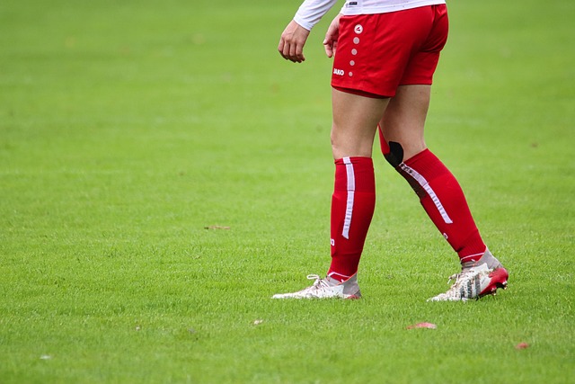 迎来与澳大 迎来与澳大