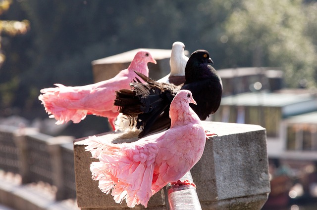 利奠定了基 利奠定了基