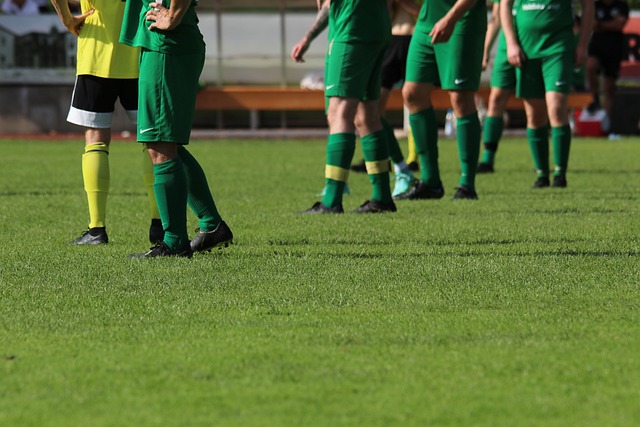 格的遵循要 格的遵循要