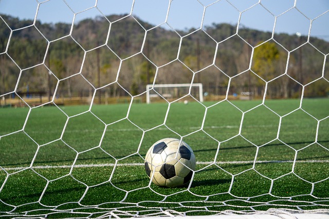 也凸显了如 也凸显了如