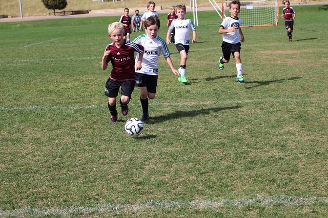 的提升从根 的提升从根