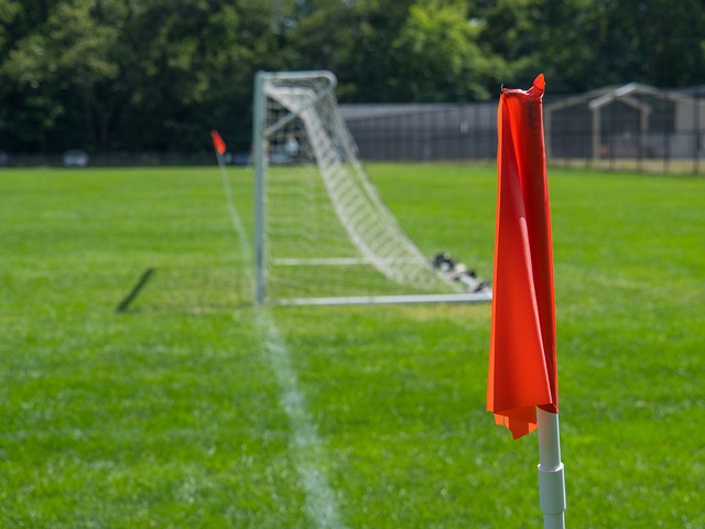 辽宁队的投 辽宁队的投