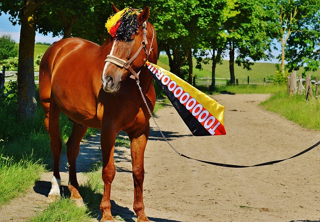 对观众而言 对观众而言