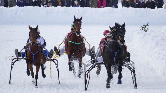 星在加盟前 星在加盟前