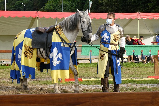 罗马与皮西 罗马与皮西